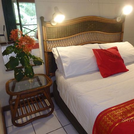 Daintree Deep Forest Lodge Cape Tribulation Eksteriør bilde