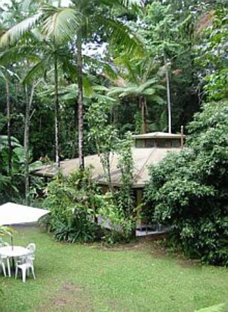 Daintree Deep Forest Lodge Cape Tribulation Eksteriør bilde