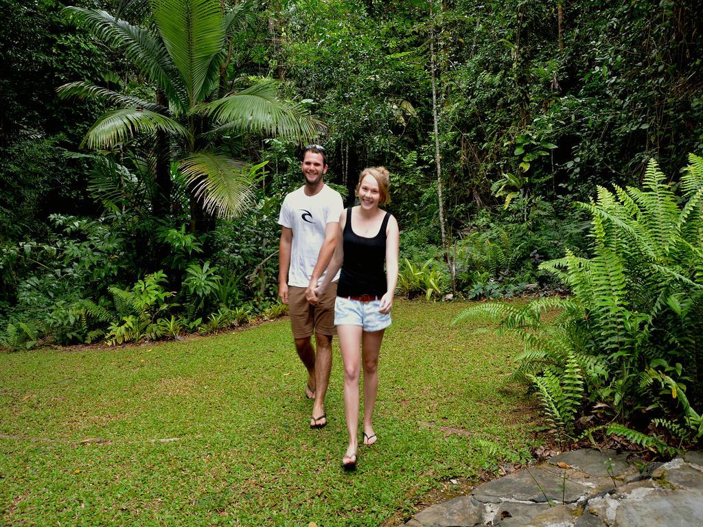 Daintree Deep Forest Lodge Cape Tribulation Eksteriør bilde
