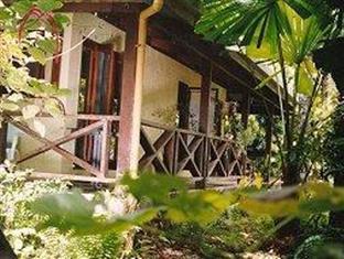 Daintree Deep Forest Lodge Cape Tribulation Eksteriør bilde