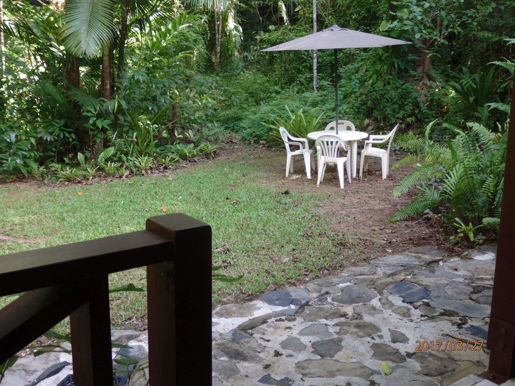 Daintree Deep Forest Lodge Cape Tribulation Eksteriør bilde